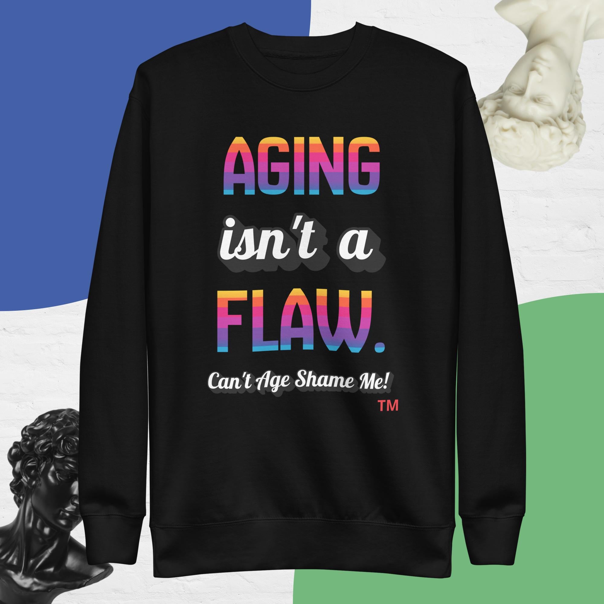 Black sweatshirt with colorful text 'AGING isn't a FLAW. Can't Age Shame Me!' on a blue and green background.